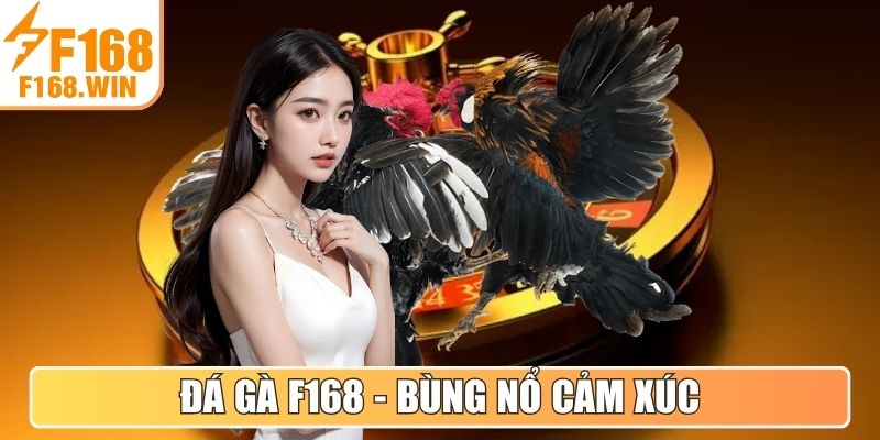 Đá Gà F168 - Cuộc chiến gay cấn, bùng nổ cảm xúc
